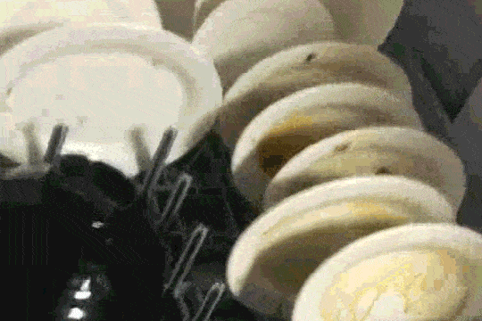 全自動酒店專用洗碗機